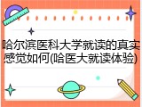 哈尔滨医科大学就读的真实感觉如何(哈医大就读体验)