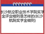 长沙航空职业技术学院奖学金评定细则是怎样的(长沙航院奖学金细则)