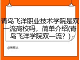青岛飞洋职业技术学院是双一流高校吗，简单介绍(青岛飞洋学院双一流？)