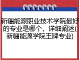新疆能源职业技术学院最好的专业是哪个，详细阐述(新疆能源学院王牌专业)