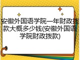 安徽外国语学院一年财政拨款大概多少钱(安徽外国语学院财政拨款)