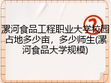漯河食品工程职业大学校园占地多少亩，多少师生(漯河食品大学规模)