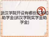 武汉学院开设有哪些奖学和助学金(武汉学院奖学金助学金)