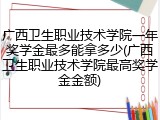 广西卫生职业技术学院一年奖学金最多能拿多少(广西卫生职业技术学院最高奖学金金额)