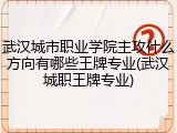 武汉城市职业学院主攻什么方向有哪些王牌专业(武汉城职王牌专业)