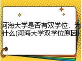 河海大学是否有双学位，为什么(河海大学双学位原因)