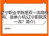 辽宁职业学院是双一流高校吗，简单介绍(辽宁职院双一流？简介)