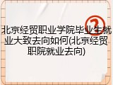 北京经贸职业学院毕业生就业大致去向如何(北京经贸职院就业去向)