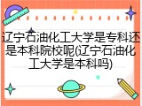 辽宁石油化工大学是专科还是本科院校呢(辽宁石油化工大学是本科吗)