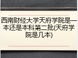 西南财经大学天府学院是一本还是本科第二批(天府学院是几本)