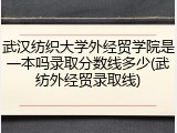 武汉纺织大学外经贸学院是一本吗录取分数线多少(武纺外经贸录取线)