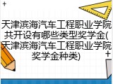 天津滨海汽车工程职业学院共开设有哪些类型奖学金(天津滨海汽车工程职业学院奖学金种类)