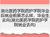 湖北医药学院药护学院毕业后就业前景怎么样，毕业生去向(湖北医药学院药护学院就业去向)