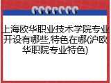 上海欧华职业技术学院专业开设有哪些,特色在哪(沪欧华职院专业特色)