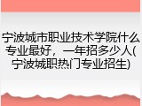 宁波城市职业技术学院什么专业最好，一年招多少人(宁波城职热门专业招生)