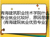 青海建筑职业技术学院什么专业就业比较好，原因是啥(青海建院就业优势专业)