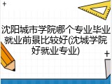 沈阳城市学院哪个专业毕业就业前景比较好(沈城学院好就业专业)