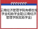 云南经济管理学院有哪些奖学金和助学金呢(云南经济管理学院奖助学金)
