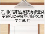 四川护理职业学院有哪些奖学金和助学金呢(川护奖助学金说明)