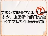 安徽公安职业学院招生编码多少，隶属哪个部门(安徽公安学院招生编码隶属)