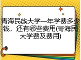 青海民族大学一年学费多少钱，还有哪些费用(青海民大学费及费用)