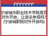 宁波城市职业技术学院是否对外开放，让进去参观吗？(宁波城职院对外开放吗)