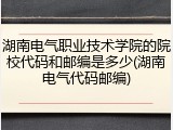 湖南电气职业技术学院的院校代码和邮编是多少(湖南电气代码邮编)