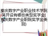 重庆数字产业职业技术学院共开设有哪些类型奖学金(重庆数字产业职院奖学金类别)