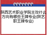 陕西艺术职业学院主攻什么方向有哪些王牌专业(陕艺职王牌专业)