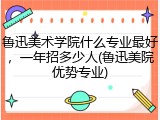 鲁迅美术学院什么专业最好，一年招多少人(鲁迅美院优势专业)