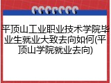 平顶山工业职业技术学院毕业生就业大致去向如何(平顶山学院就业去向)