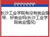 长沙工业学院有没有就业指导，好就业吗(长沙工业学院就业情况)