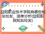 益阳职业技术学院有哪些知名校友，简单分析(益阳职院知名校友)