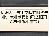 岳阳职业技术学院有哪些专业，就业前景如何(岳阳职院专业就业前景)
