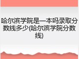 哈尔滨学院是一本吗录取分数线多少(哈尔滨学院分数线)
