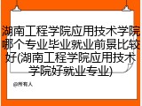 湖南工程学院应用技术学院哪个专业毕业就业前景比较好(湖南工程学院应用技术学院好就业专业)