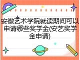 安徽艺术学院就读期间可以申请哪些奖学金(安艺奖学金申请)