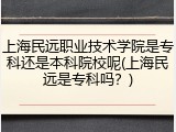 上海民远职业技术学院是专科还是本科院校呢(上海民远是专科吗？)
