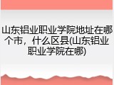 山东铝业职业学院地址在哪个市，什么区县(山东铝业职业学院在哪)
