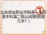 山东铝业职业学院是一本还是本科第二批(山铝职院是几本？)