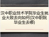 汉中职业技术学院毕业生就业大致去向如何(汉中职院毕业生去哪)