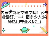 内蒙古鸿德文理学院什么专业最好，一年招多少人(鸿德热门专业及招生)