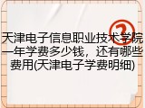 天津电子信息职业技术学院一年学费多少钱，还有哪些费用(天津电子学费明细)