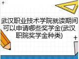 武汉职业技术学院就读期间可以申请哪些奖学金(武汉职院奖学金种类)