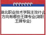 湖北职业技术学院主攻什么方向有哪些王牌专业(湖职王牌专业)