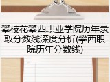 攀枝花攀西职业学院历年录取分数线深度分析(攀西职院历年分数线)