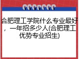合肥理工学院什么专业最好，一年招多少人(合肥理工优势专业招生)