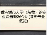 香港城市大学（东莞）的专业设置概况介绍(港莞专业概览)