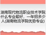湖南现代物流职业技术学院什么专业最好，一年招多少人(湖南物流学院优势专业)