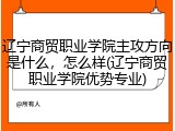 辽宁商贸职业学院主攻方向是什么，怎么样(辽宁商贸职业学院优势专业)